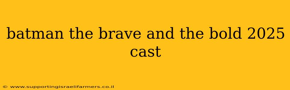 Batman The Brave And The Bold Cast